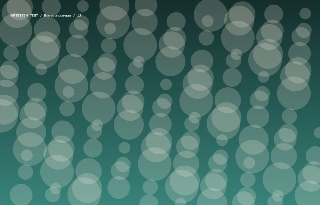 Synthetisches Testmotiv 12