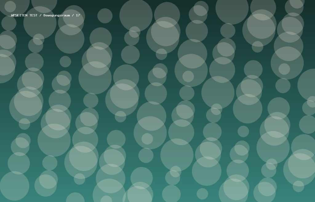 Synthetisches Testmotiv 17